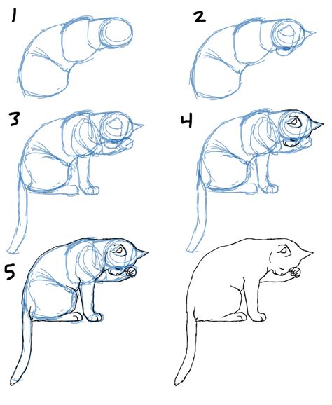 Savanna Williams: How to Draw Cat Bodies in Poses