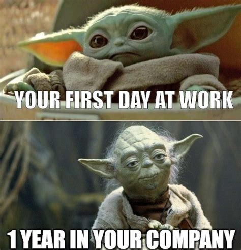 16 Baby Yoda Memes You Didn't Know You Needed To Brighten Up Your Mood