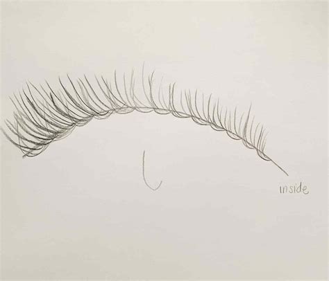 How to Draw Eyelashes - 4 Easy Steps - basicdraw.com