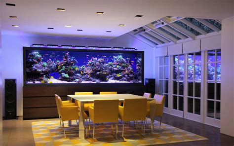 Luxury townhouse aquarium, aquarium architecture | homify