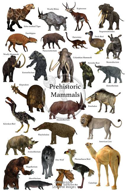 A collection of some of the better known mammals that lived during the ...