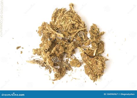 Indian Hemp and Hashish Cannabis Stock Image - Image of high, hashish ...