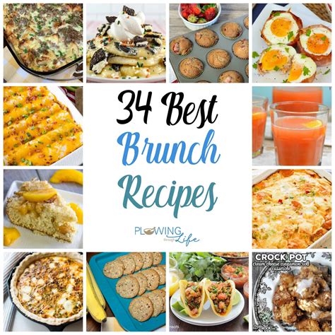 34 Best Brunch Recipes - Plowing Through Life