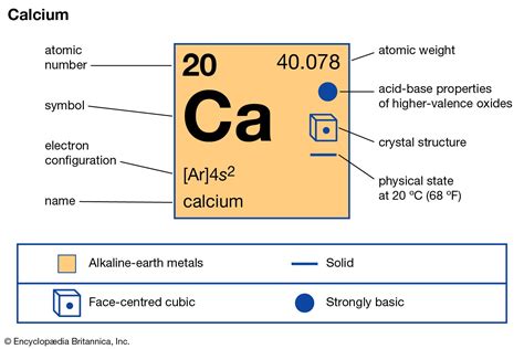 Calcium | Definition, Properties, & Compounds | Britannica