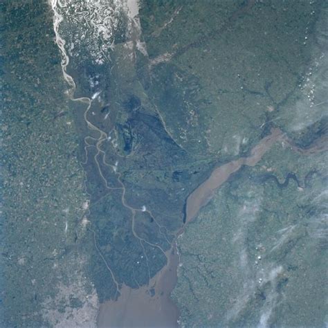 Satellite Image, Photo of Paraná River Delta, Argentina