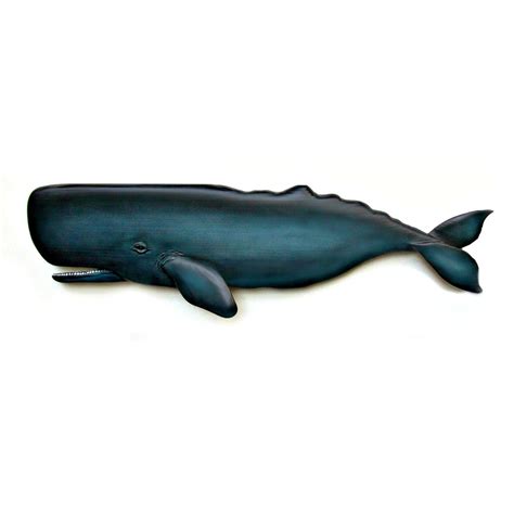 60 inch SPERM WHALE art wood sculpture Nantucket by WOODNARTS