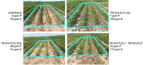 Maintaining soil fertility is important for soil health - Soil Health Nexus