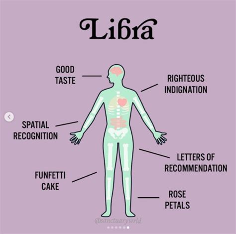 21 Libra Memes Only True Libras Will Understand - Let's Eat Cake