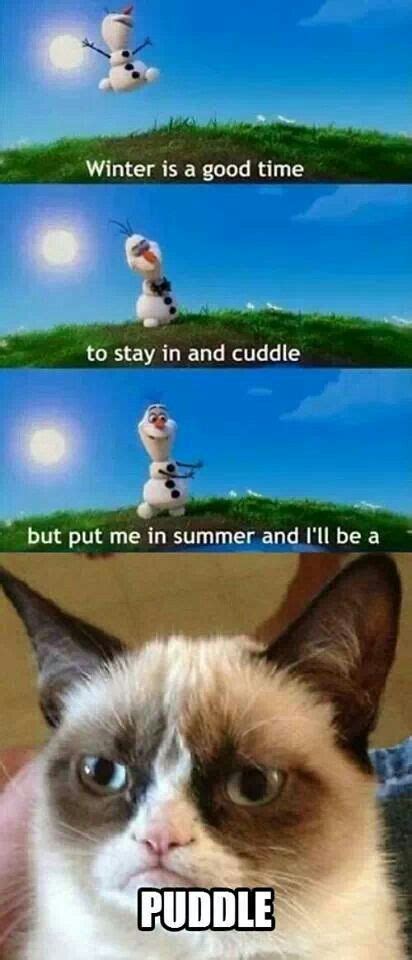 Frozen Grumpy Cat Quotes. QuotesGram