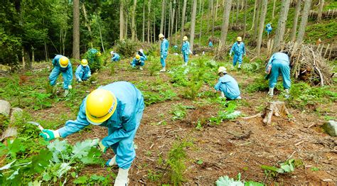 Water Resource Forest Conservation Activities | Community Engagement ...