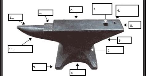 Parts of The Anvil Diagram | Quizlet