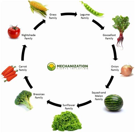 Crop rotation guide