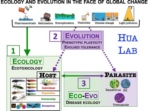 Community ecotoxicology