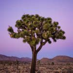 Sunset at Imperial Sand Dunes - Anne McKinnell Photography