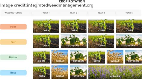 Crop Rotation – Alaska Master Gardener Blog