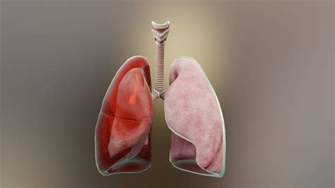 What Are the Symptoms of Empyema?