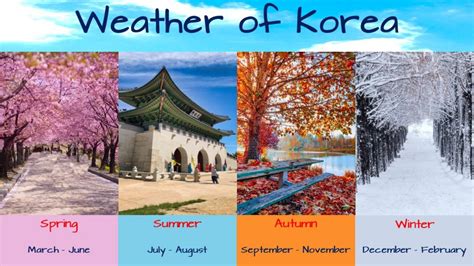 Visit South Korea Travel Guide | Seoul Travel Guide - Monday Go Travel