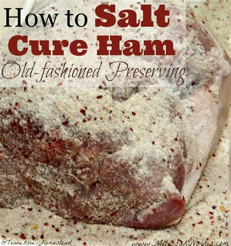 Salt cured meat - Alchetron, The Free Social Encyclopedia