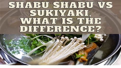 Shabu Shabu vs Sukiyaki, What Is The Difference?