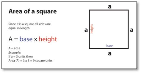 How to find the Area of a Square? - Assignment Point