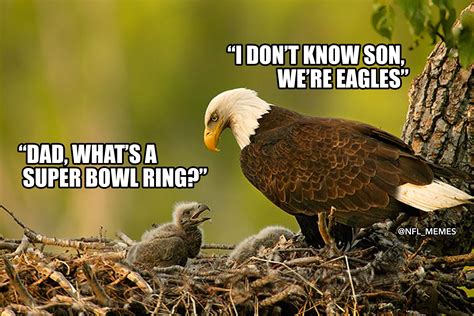 Eagles Super Bowl 2024 Meme - Colly Robinette