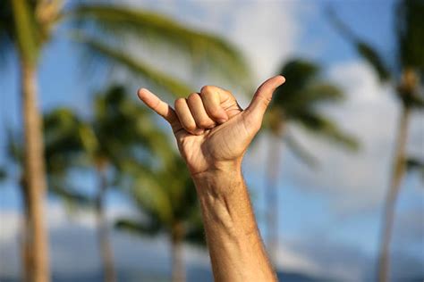 Shaka Sign Pictures, Images and Stock Photos - iStock