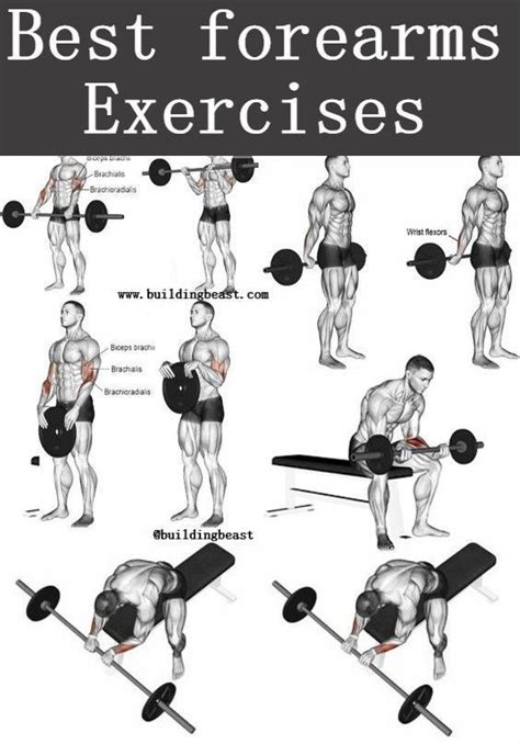 Best Forearms Exercises for men. | Forearm workout, Best forearm ...