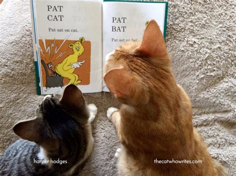 Teach your cat to read