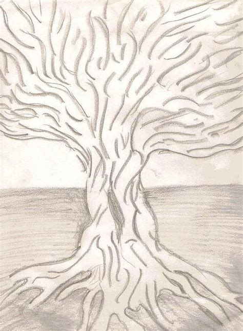 Wisdom Tree Drawing