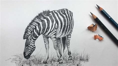 drawing Animals Pencil Art Drawings Animals