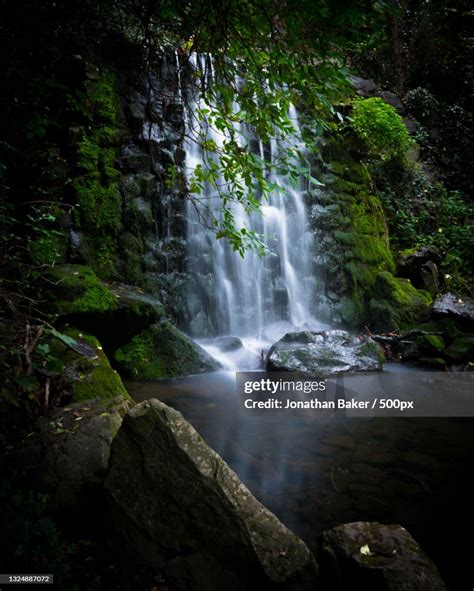 Scenic View Of Waterfall In Forestbushy Park Waterfallireland High-Res ...