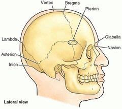 Junctions on skull: bregma, lambda, asterion, pterion | Cranio