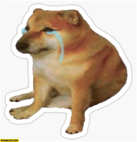 Sad crying dog doge meme isolated depressed demotivated | StareCat.com