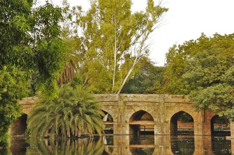 Lodi Gardens, Delhi