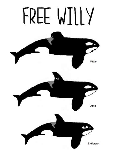 Free Willy 2 Fanart on Free-Willy-Fans - DeviantArt