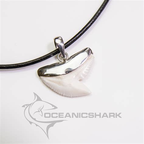 Tiger shark tooth silver necklace Oceanicshark – oceanicshark