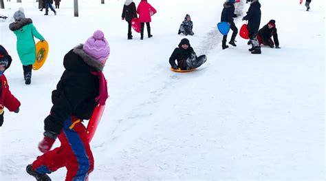 The Top 9 Kids Sleds for Maximum Fun This Year