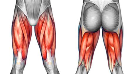 Thigh Pain & Injuries - Symptoms, Causes and Treatment