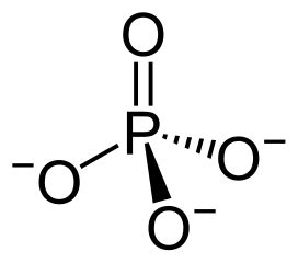 Phosphate Group - Definition and Functions | Biology Dictionary