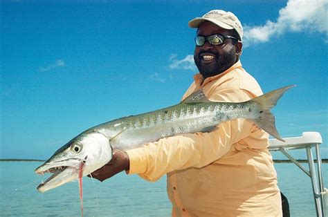 Fish Facts: Grand Barracuda (Sphyraena barracuda) - Orvis News