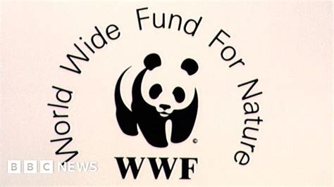 WWF accused of funding guards who torture and kill in poaching war