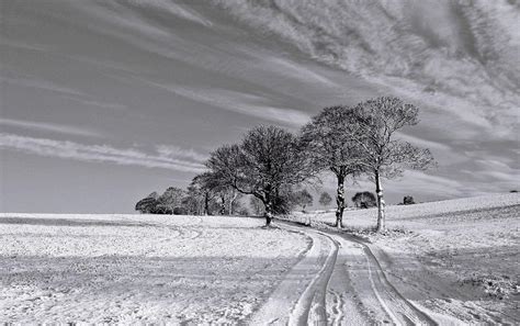 Black and White Winter Wallpapers - Top Free Black and White Winter ...