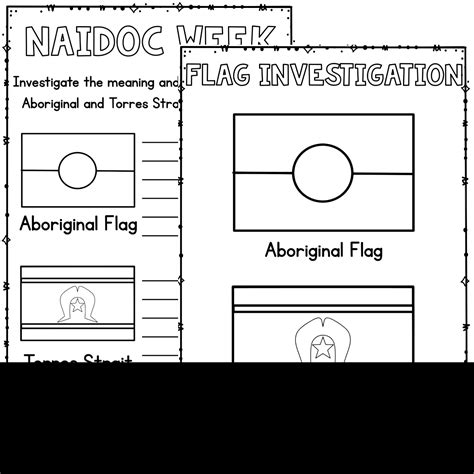 NAIDOC Week Flag Investigation | Top Teacher