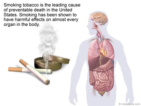 Harmful Smoking Effects