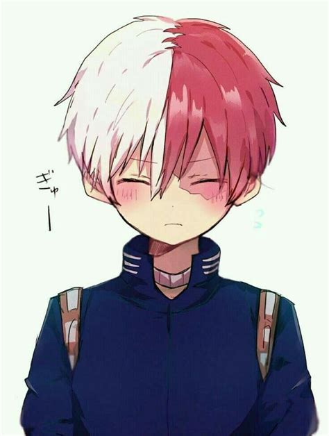 Pin by shaked kitri on bnha | Hero, My hero academia shouto, Cute anime ...