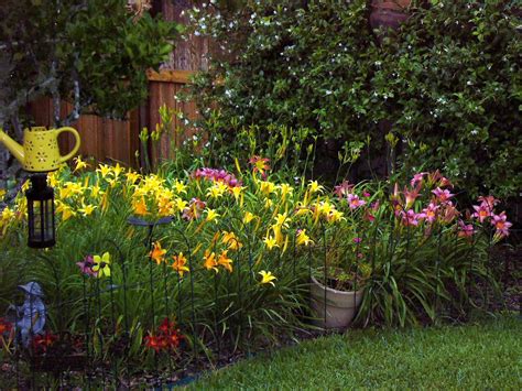 Creating The Perfect Daylily Garden Design In 2023 – Home Design Lovers