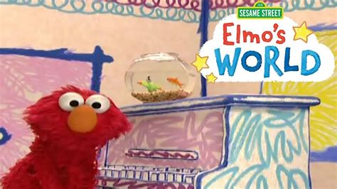 Elmo's World Theme Song & Episodes Chat