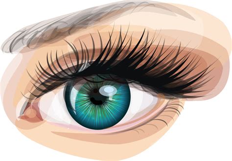 Vector realistic eye vectors free download 2,277 editable .ai .eps .svg ...