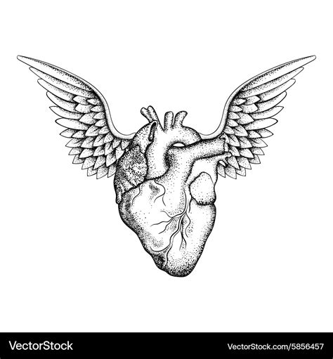 Hand drawn elegant heart with wings black sketch Vector Image