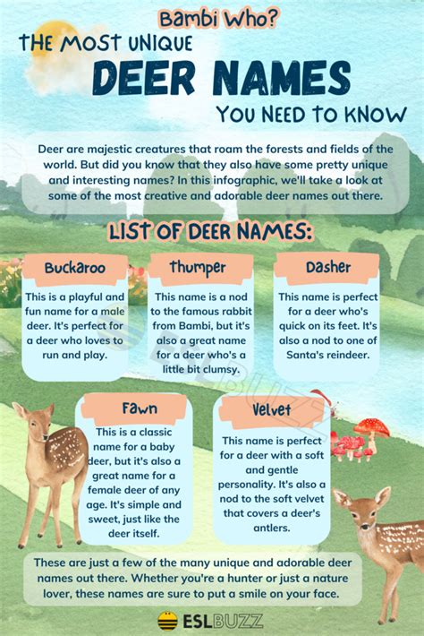 Deer Names: Fun and Creative Ideas for Learning! - ESLBUZZ